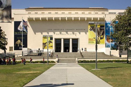 Muzium Sejarah Alam County Los Angeles